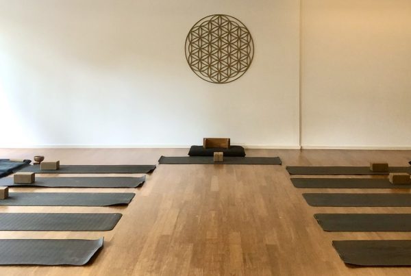fre:e practice: Yoga, Qi Gong/Tai Chi & Zen Meditation mit Manu Binninger